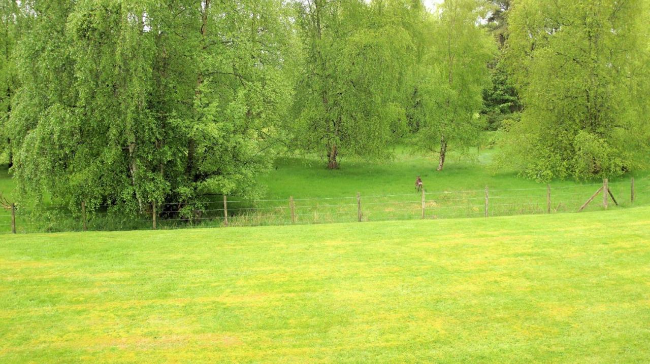 44 Guthrie Court Villa Auchterarder Eksteriør billede